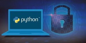 What Career Opportunities Are Available After Learning Python?
