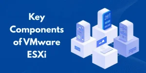 What are the Key Components of VMware ESXi