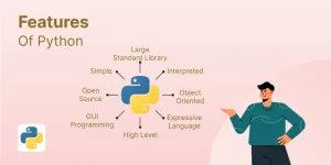 What are the key features that make Python powerful?