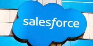 What is the role of reports and dashboards in Salesforce? 