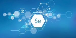 Which Programming Languages Work Best with Selenium?